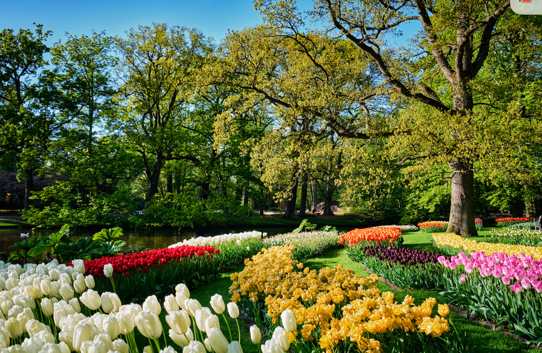Gartenfestival Park & Schloss Branitz
