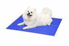 d5a09323d8bf5fe373fe95f87c8d6d7f