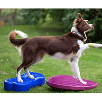 FitPAWS Balancierscheibe K9FITbone PVC Himmelblau