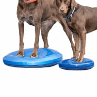 FitPAWS Balance-Scheibe für Haustiere 36 cm Blau