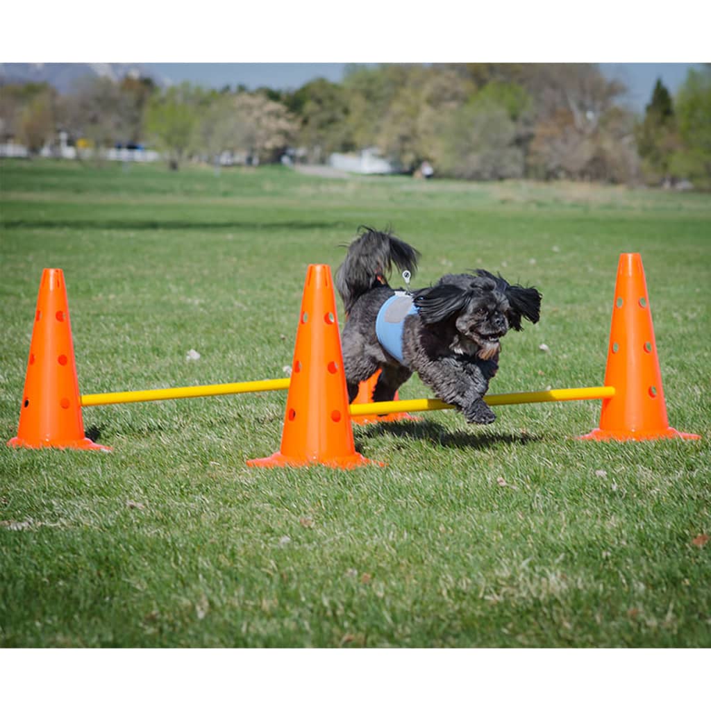 FitPAWS Hundesport-Set