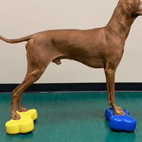 FitPAWS Balance-Kissen für Haustiere Mini K9FITbone 2 Stk. 29x16,5x6 cm Blau