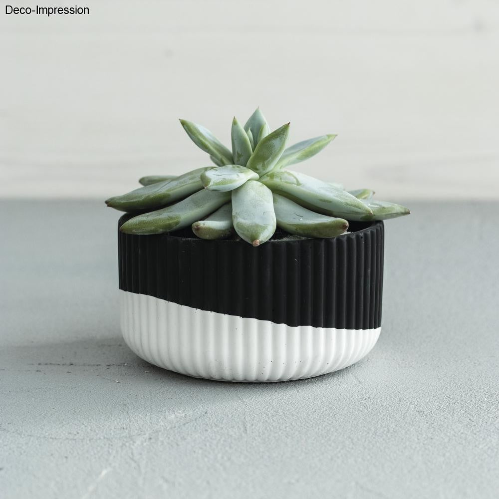 Gießpulver Raysin 250