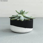 Gießpulver Raysin 250