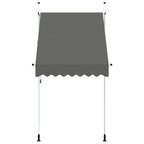 Einziehbare Markise Handbetrieben 150 cm Anthrazit