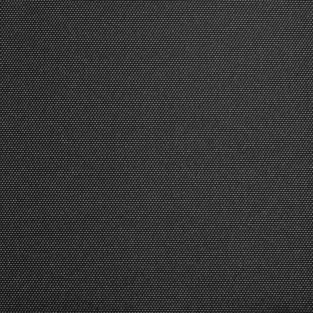 Markisenbespannung Canvas Anthrazit 300x250 cm