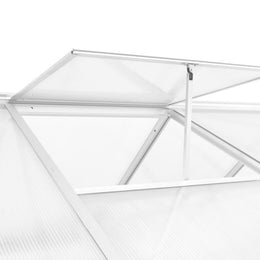 vidaXL Gewächshaus Aluminium 302x190x195 cm 11,19 m³