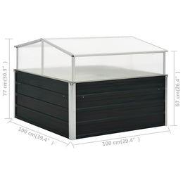 vidaXL Gewächshaus Anthrazit 100x100x77 cm Verzinkter Stahl