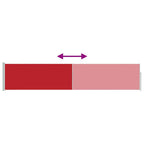 Ausziehbare Seitenmarkise 100×500 cm Rot