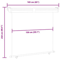 Balkon-Seitenmarkise 165x250 cm Creme