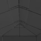Pavillon mit Vorhängen 600x298x270 cm Anthrazit