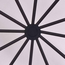 vidaXL Gewächshaus Aluminium 240×211×232 cm