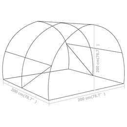 vidaXL Gewächshaus 4 m² 2x2x2 m