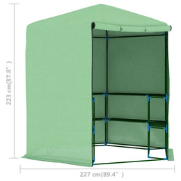 vidaXL Gewächshaus mit Ablagen Stahl 227x223 cm