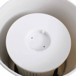 vidaXL Pool Einhängeskimmer und Pumpe mit Adapter 16 cm Kunststoff
