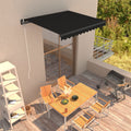 Einziehbare Markise Handbetrieben 300 x 250 cm Anthrazit