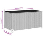 Garten-Auflagenbox Hellgrau 120x65x61 cm Poly Rattan