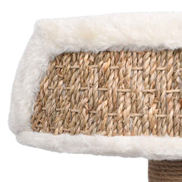 vidaXL Katzenbaum mit Kratzsäule 49 cm Seegras