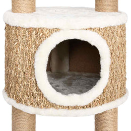 vidaXL Katzen-Kratzbaum 126 cm Seegras