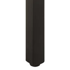 Esstisch 220x100x76 cm Raues Mangoholz