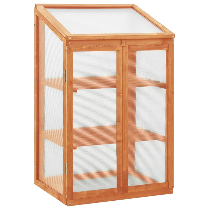 Gewächshaus 60x45x100 cm Tannenholz