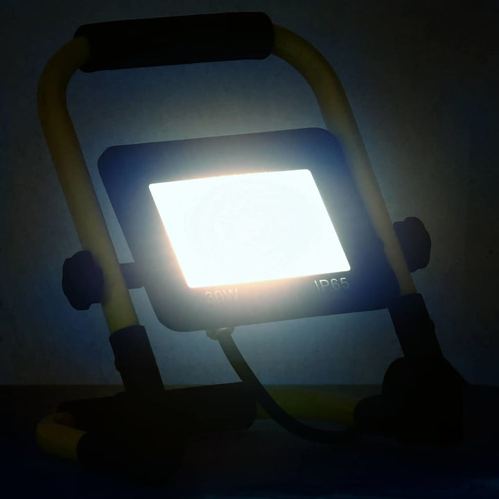 LED-Fluter mit Handgriff 30 W Kaltweiß