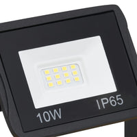 LED-Fluter mit Handgriff 2x10 W Kaltweiß