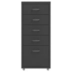 Aktenschrank mit Rollen Anthrazit 28x41x69 cm Metall