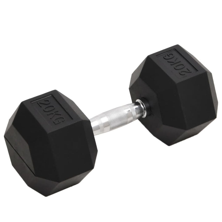 Kurzhantel 20 kg Gusseisen