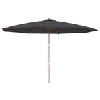 Sonnenschirm mit Holzmast Schwarz 400x273 cm