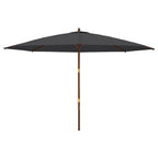 Sonnenschirm mit Holzmast Schwarz 400x273 cm