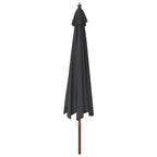Sonnenschirm mit Holzmast Schwarz 400x273 cm