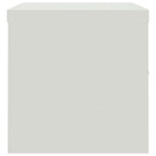 Aktenschrank Hellgrau 90x40x40 cm Stahl