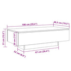 Couchtisch Schwarz 100x49,5x31 cm Holzwerkstoff