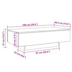 Couchtisch Räuchereiche 100x49,5x31 cm Holzwerkstoff
