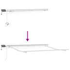 Markise mit LED-Beleuchtung Manuell Anthrazit & Weiß 300x250 cm