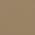 Seitenmarkise Ausziehbar Taupe 160x300 cm
