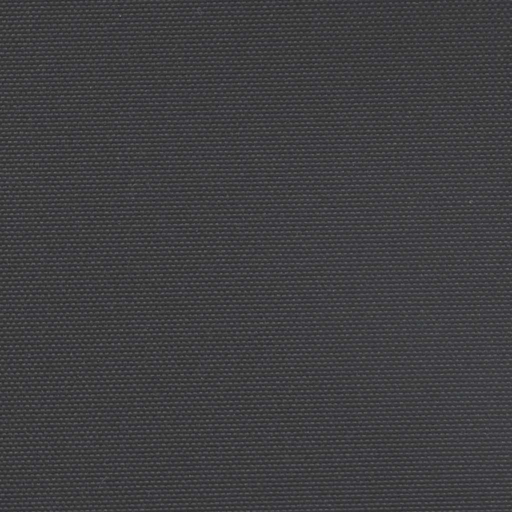 Seitenmarkise Ausziehbar Schwarz 100x500 cm