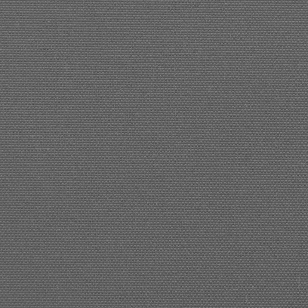 Seitenmarkise Ausziehbar Anthrazit 160x500 cm