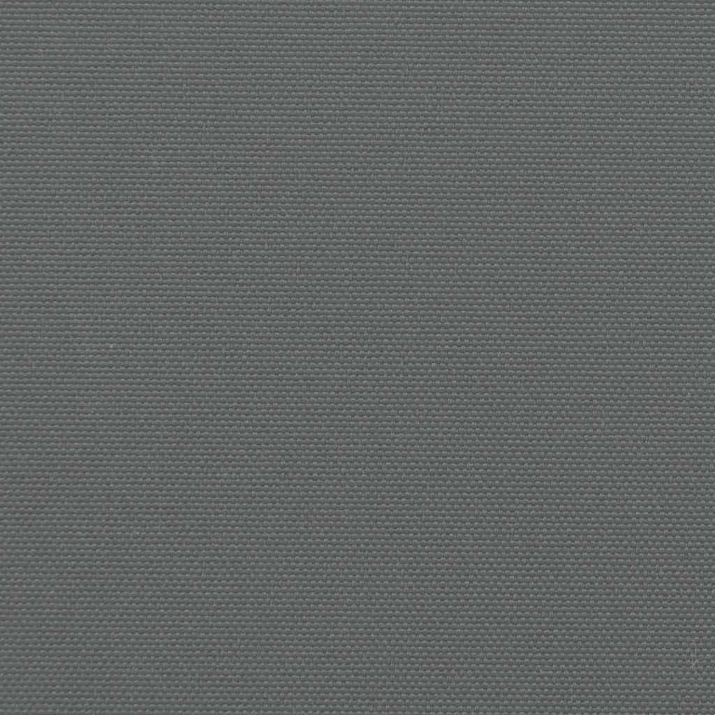 Seitenmarkise Ausziehbar Anthrazit 200x500 cm