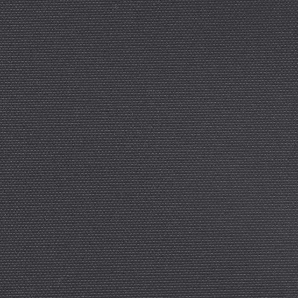 Seitenmarkise Ausziehbar Schwarz 220x500 cm