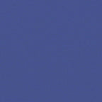 Seitenmarkise Ausziehbar Blau 120x600 cm