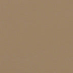 Seitenmarkise Ausziehbar Taupe 120x600 cm