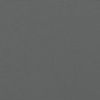 Seitenmarkise Ausziehbar Anthrazit 140x600 cm