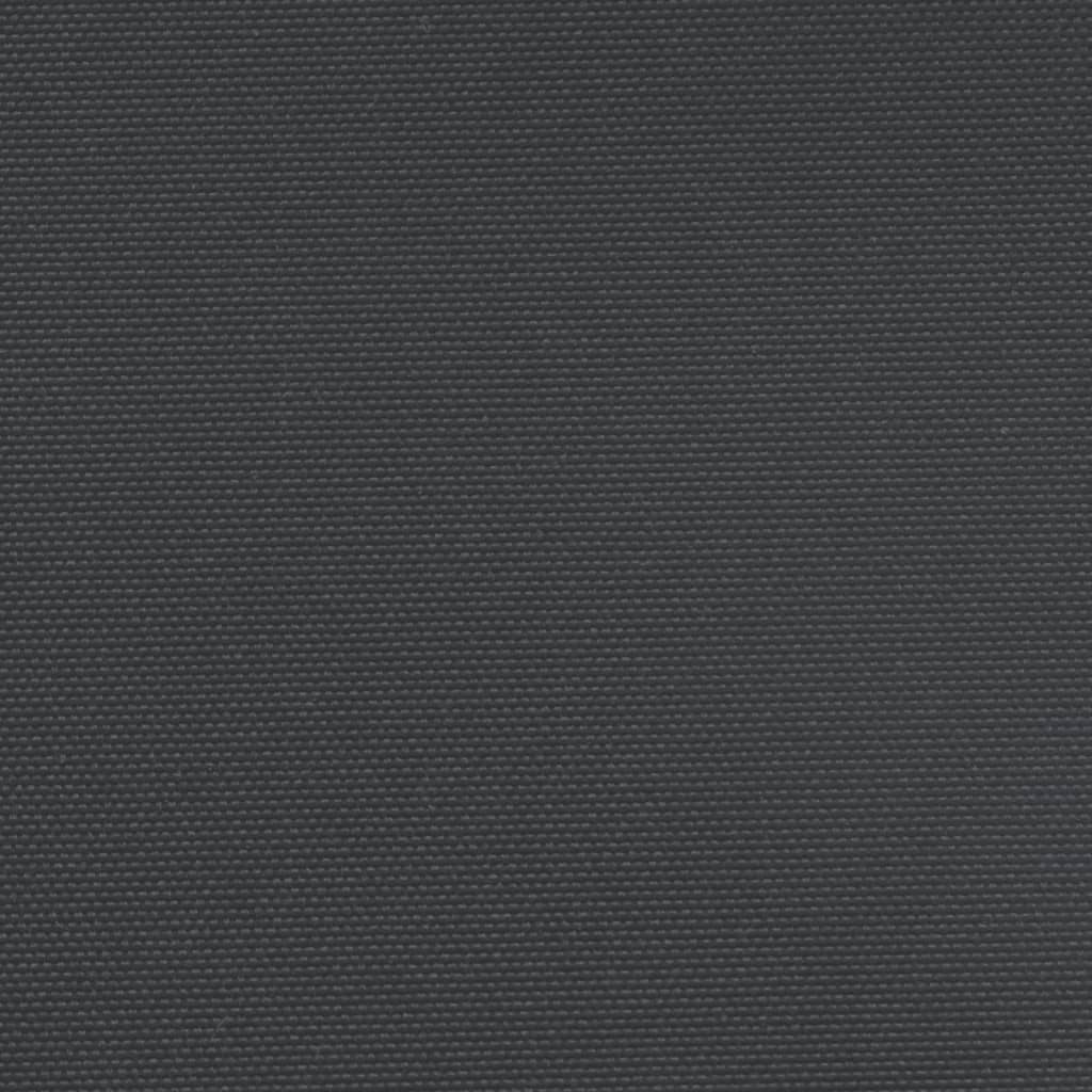 Seitenmarkise Ausziehbar Schwarz 220x600 cm