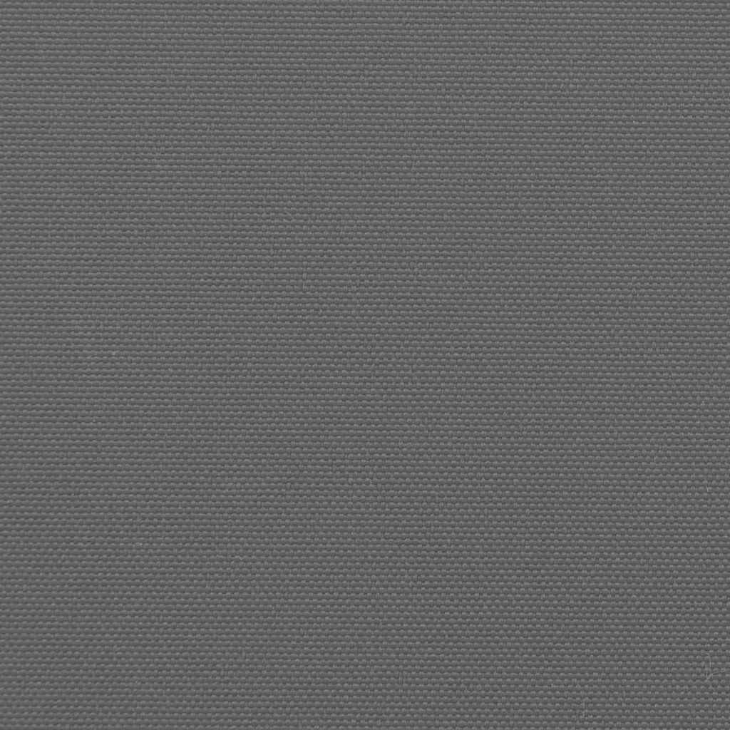 Seitenmarkise Ausziehbar Anthrazit 220x1000 cm