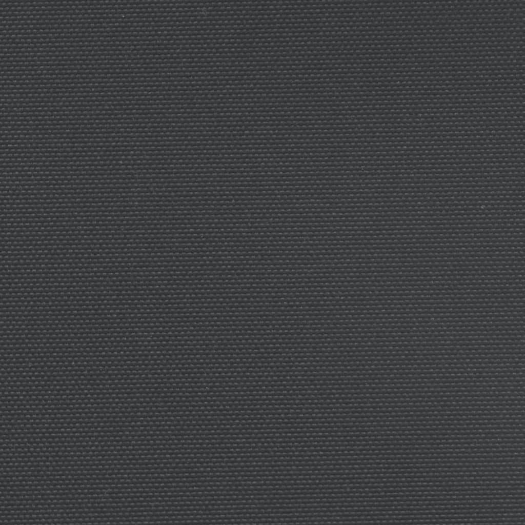 Seitenmarkise Ausziehbar Schwarz 220x1200 cm