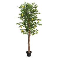 Zitronenbaum Künstlich mit 3 Stämmen Grün 180 cm PP