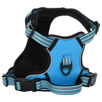 Hundegeschirr mit Leine & Halsband Verstellbar Blau S