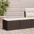 2-tlg. Garten-Sofagarnitur mit Kissen Braun Poly Rattan Akazie
